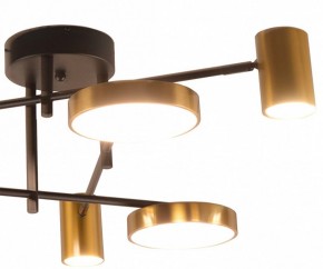 Потолочная люстра Kink Light Рапис 07645-6D,19(20) в Кургане - kurgan.ok-mebel.com | фото 2