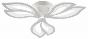 Потолочная люстра Natali Kovaltseva FORTUNA LED LAMPS 81107/2C в Кургане - kurgan.ok-mebel.com | фото