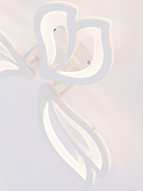 Потолочная люстра Natali Kovaltseva FORTUNA LED LAMPS 81107/2C в Кургане - kurgan.ok-mebel.com | фото 11