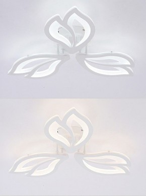 Потолочная люстра Natali Kovaltseva FORTUNA LED LAMPS 81107/2C в Кургане - kurgan.ok-mebel.com | фото 4