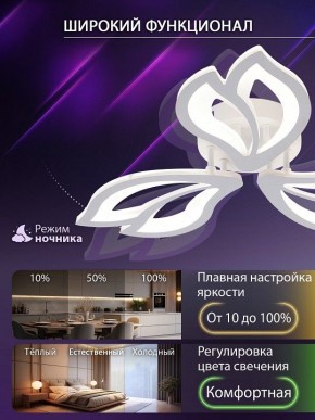 Потолочная люстра Natali Kovaltseva FORTUNA LED LAMPS 81107/2C в Кургане - kurgan.ok-mebel.com | фото 5