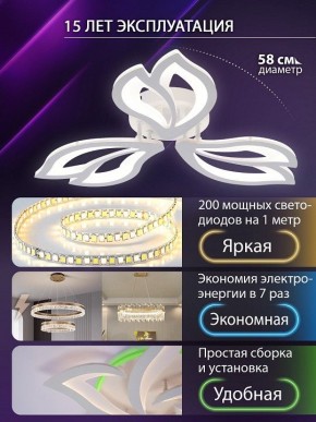 Потолочная люстра Natali Kovaltseva FORTUNA LED LAMPS 81107/2C в Кургане - kurgan.ok-mebel.com | фото 6
