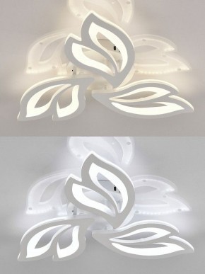 Потолочная люстра Natali Kovaltseva  LED LAMPS 81426 в Кургане - kurgan.ok-mebel.com | фото 4