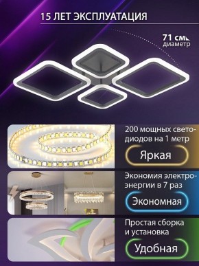 Потолочная люстра Natali Kovaltseva OPTI LED LAMPS 81108/2C в Кургане - kurgan.ok-mebel.com | фото 5