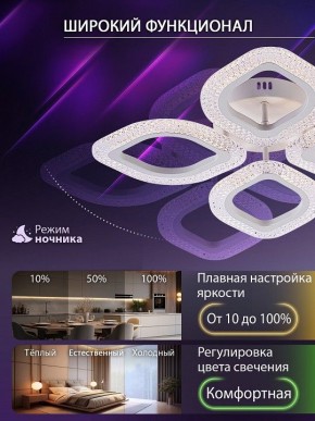 Потолочная люстра Natali Kovaltseva SM LED LAMPS 81455 в Кургане - kurgan.ok-mebel.com | фото 6