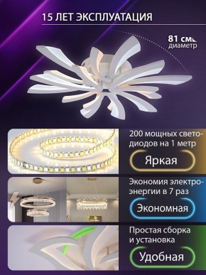 Потолочная люстра Natali Kovaltseva VIO LED LAMPS 81454 в Кургане - kurgan.ok-mebel.com | фото 5