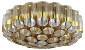 Потолочная люстра ST-Luce Accord SL1662.302.19 в Кургане - kurgan.ok-mebel.com | фото 2