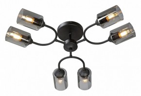 Потолочная люстра Vitaluce V2823 V2823-1/6PL в Кургане - kurgan.ok-mebel.com | фото 2