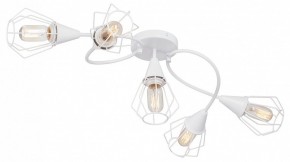 Потолочная люстра Vitaluce V3037 V3037-0/5PL в Кургане - kurgan.ok-mebel.com | фото