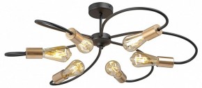 Потолочная люстра Vitaluce V3076 V3076-1/6PL в Кургане - kurgan.ok-mebel.com | фото 3