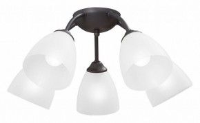 Потолочная люстра Vitaluce V3184 V3737-2/5PL в Кургане - kurgan.ok-mebel.com | фото