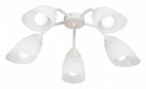 Потолочная люстра Vitaluce V31950 V31950/5PL в Кургане - kurgan.ok-mebel.com | фото