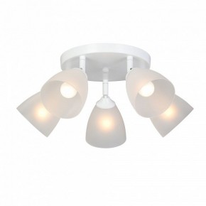 Потолочная люстра Vitaluce V4355 V4355-0/5PL в Кургане - kurgan.ok-mebel.com | фото 2