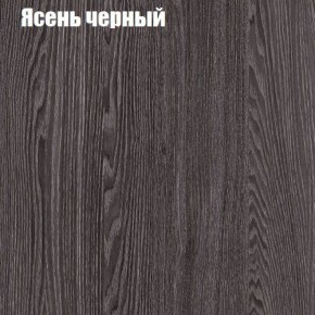 Прихожая ДИАНА-4 сек №11 (Ясень анкор/Дуб эльза) в Кургане - kurgan.ok-mebel.com | фото 3