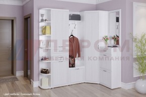 Прихожая Карина композиция 5 (Снежный ясень) в Кургане - kurgan.ok-mebel.com | фото