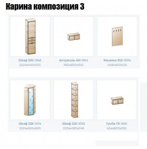 Прихожая Карина (модульная) в Кургане - kurgan.ok-mebel.com | фото 8