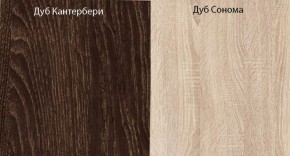 Прихожая-купе Смарт 3 (1000) в Кургане - kurgan.ok-mebel.com | фото 5