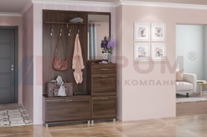 Прихожая Мелисса композиция 8 (Акация Молдау) в Кургане - kurgan.ok-mebel.com | фото