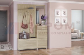 Прихожая Мелисса композиция 8 (Ясень Асахи) в Кургане - kurgan.ok-mebel.com | фото