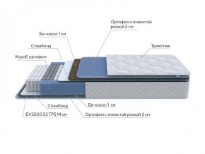 PROxSON Матрас Active Comfort M (Ткань Трикотаж Эко) 120x200 в Кургане - kurgan.ok-mebel.com | фото 7