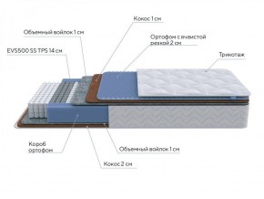 PROxSON Матрас Active Duo M/F (Ткань Трикотаж Эко) 120x190 в Кургане - kurgan.ok-mebel.com | фото 6