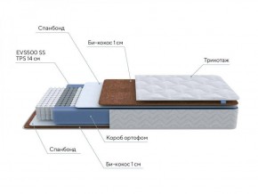 PROxSON Матрас Active F Roll (Ткань Трикотаж Эко) 120x200 в Кургане - kurgan.ok-mebel.com | фото 6