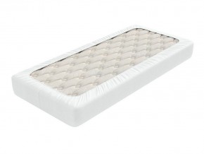 PROxSON Защитный чехол Aqua Save Light S (Ткань влагостойкая Tencel Jersey) 90x220 в Кургане - kurgan.ok-mebel.com | фото 2