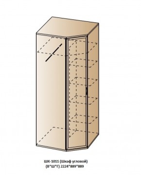 ШК-1011 (Шкаф угловой) в Кургане - kurgan.ok-mebel.com | фото