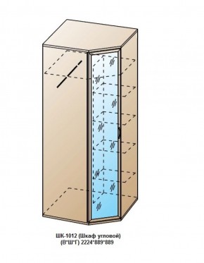 ШК-1012 (Шкаф угловой) в Кургане - kurgan.ok-mebel.com | фото