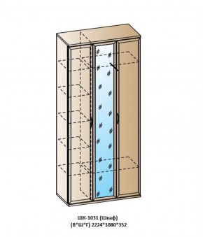 ШК-1031 (Шкаф) в Кургане - kurgan.ok-mebel.com | фото