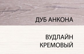 Шкаф 1DZ, OLIVIA, цвет вудлайн крем/дуб анкона в Кургане - kurgan.ok-mebel.com | фото 3