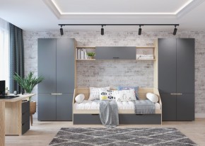 Шкаф 2-х створчатый АНТАЛИЯ (Сонома/Графит софт) в Кургане - kurgan.ok-mebel.com | фото 3