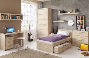 Шкаф 2D OSKAR , цвет дуб Санремо в Кургане - kurgan.ok-mebel.com | фото 5