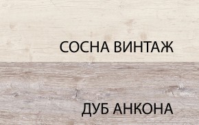 Шкаф 2DG2S, MONAKO, цвет Сосна винтаж/дуб анкона в Кургане - kurgan.ok-mebel.com | фото