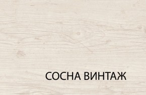 Шкаф 3DG2S, MAGELLAN, цвет Сосна винтаж в Кургане - kurgan.ok-mebel.com | фото 6