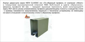 Шкаф-купе 1500 серии NEW CLASSIC K2+K2+B2+PL2(2 ящика+1 штанга+1 полка) профиль «Капучино» в Кургане - kurgan.ok-mebel.com | фото 17