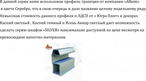 Шкаф-купе 1500 серии SILVER S5+S5+B2+PL3 (2 ящика+2 штанги) профиль «Серебро» в Кургане - kurgan.ok-mebel.com | фото 4