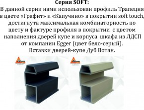 Шкаф-купе 1800 серии SOFT D8+D2+B2+PL4 (2 ящика+F обр.штанга) профиль «Капучино» в Кургане - kurgan.ok-mebel.com | фото 10