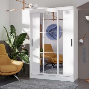 Шкаф-купе Тайм ШКК-03 (белый) в Кургане - kurgan.ok-mebel.com | фото