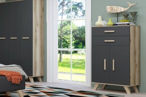 Шкаф низкий Вега Скандинавия в Кургане - kurgan.ok-mebel.com | фото 8