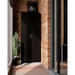 Шкаф ПЕГАС двухдверный, цвет Дуб Венге в Кургане - kurgan.ok-mebel.com | фото 4