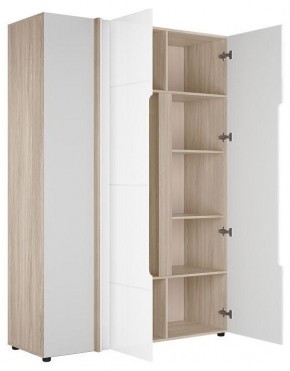 Шкаф платяной Данк в Кургане - kurgan.ok-mebel.com | фото 2