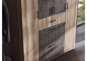 Шкаф платяной Паркинс в Кургане - kurgan.ok-mebel.com | фото 3