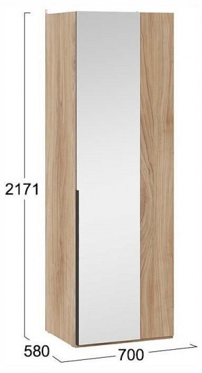 Шкаф платяной Порто СМ-393.07.007 в Кургане - kurgan.ok-mebel.com | фото 4