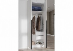 Шкаф платяной Широн в Кургане - kurgan.ok-mebel.com | фото 3