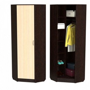 Шкаф платяной ШП-10 в Кургане - kurgan.ok-mebel.com | фото 2