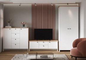 Шкаф платяной Теодора в Кургане - kurgan.ok-mebel.com | фото 4