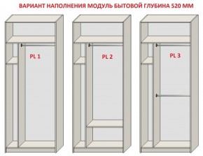 Шкаф распашной серия «ЗЕВС» (PL3/С1/PL2) Серый камень/Небраска натуральный в Кургане - kurgan.ok-mebel.com | фото 5
