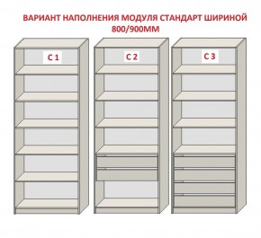 Шкаф распашной серия «ЗЕВС» (PL3/С1/PL2) Серый камень/Небраска натуральный в Кургане - kurgan.ok-mebel.com | фото 6