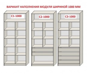 Шкаф распашной серия «ЗЕВС» (PL3/С1/PL2) Серый камень/Небраска натуральный в Кургане - kurgan.ok-mebel.com | фото 7